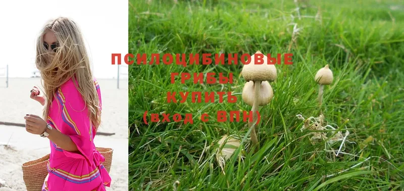 ОМГ ОМГ ссылки  купить   Анива  Галлюциногенные грибы MAGIC MUSHROOMS 